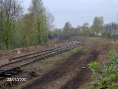 
Mendelgief branch resurrection, Newport, April 2006